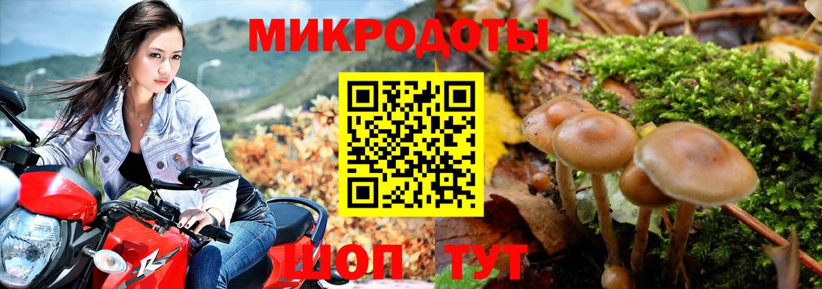 Псилоцибиновые грибы мухоморы Фролово